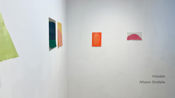 Installation view of Allyson Strafella's exhibition, "hillsdale."