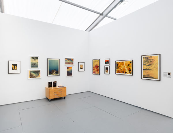 12012025 Marshall 0012