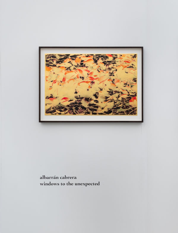 12012025 Marshall 0016