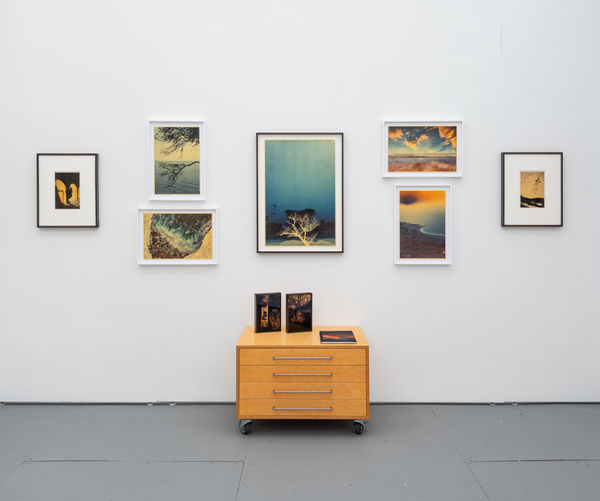 12012025 Marshall 0020