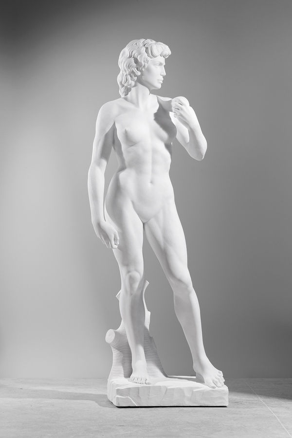 MICHELANGELO MY TRIBUTE TO WOMEN, 2020