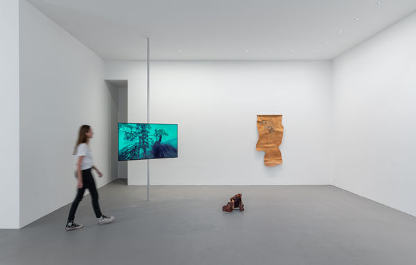 Under The Sun Installation View Max Goelitz Dirk Tacke Web 2B