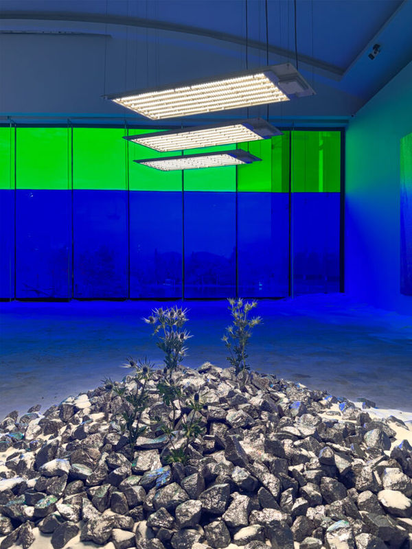 exhibition | mexico city, mx