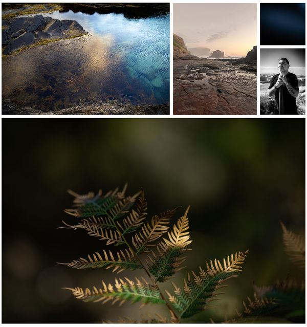 Bracken - multimedia exhibition Noa Smith Fletcher and Lionel Lauch