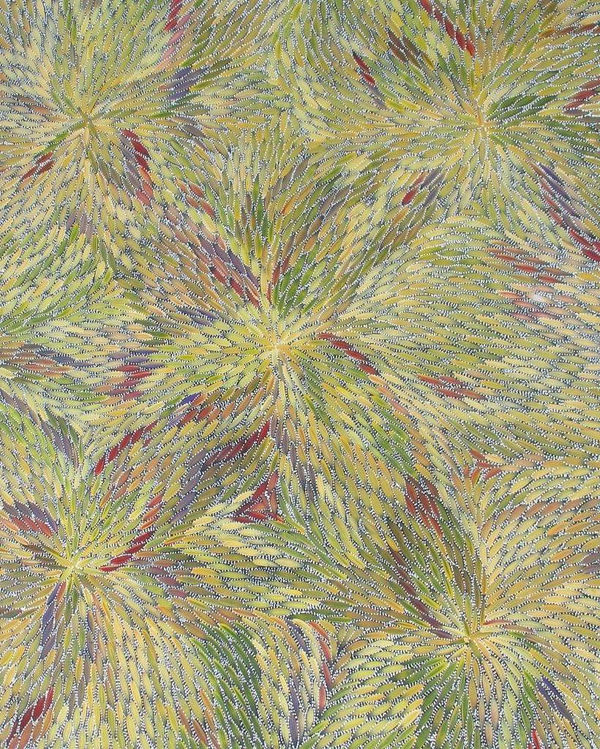 Bush Medicine Country