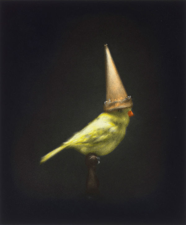 Stephen Appleby-Barr, Fenris, 2016