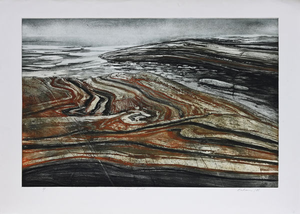 ED BARTRAM, Precambrian Inlet, 1985