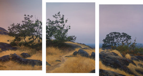 garry oak meadow, evening by nathan birch