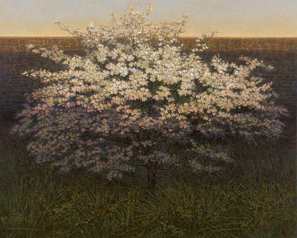 MICHAEL THOMPSON, Early Morning Garden, 2023