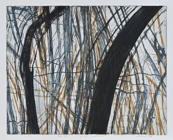 ED BARTRAM, Rock Arc, Canadian Shield Series, 1973