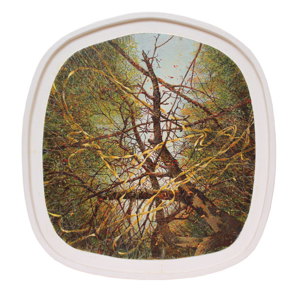 entanglement by tom forrestall