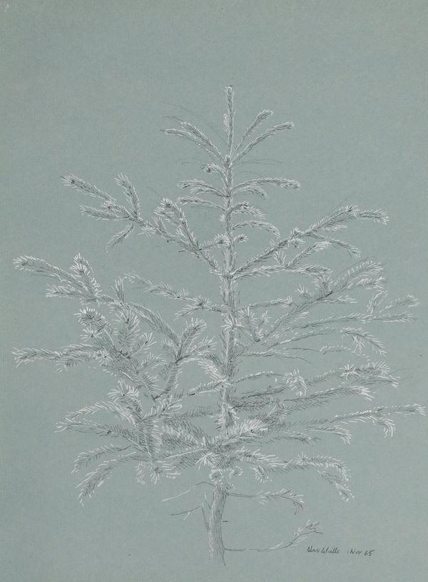 ALEX COLVILLE, Tree, 1 Nov. 1965