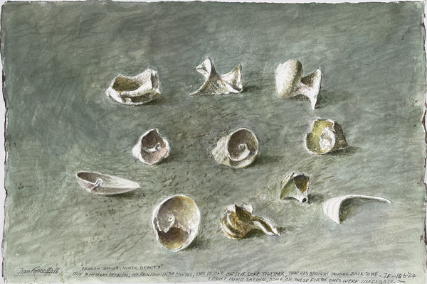 TOM FORRESTALL, Broken Shells, Inner Beauty, 16 June 2024