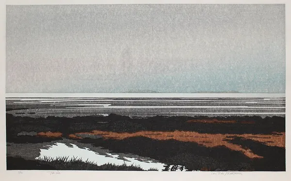 TAKAO TANABE, Low Tide/Rathtrevor, 1990