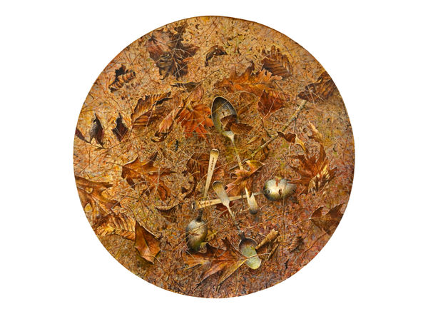 TOM FORRESTALL New Works