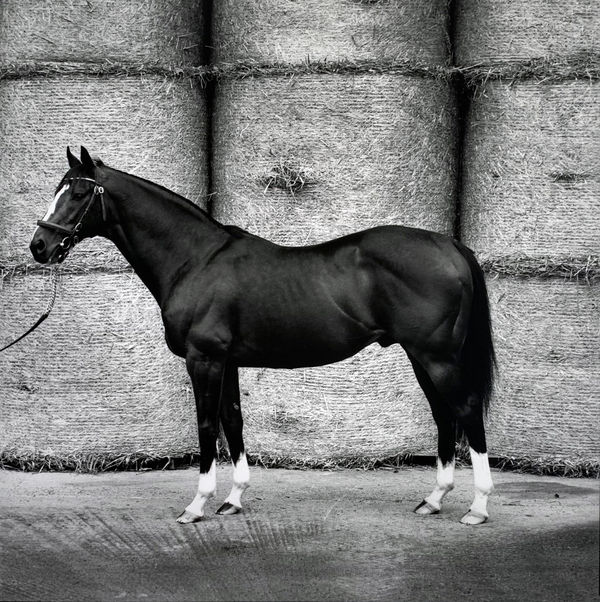 John Reardon, In the Wings, 2001