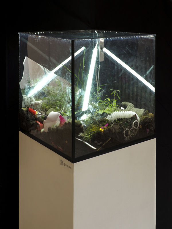 1 Small Wolds 2 Object Plexiglass Mirror Glass Ground Metal Vegetation Led 50 X 50 X 50 Cm 2018