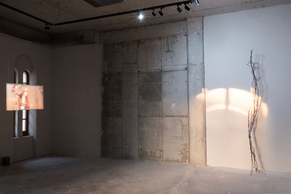 Living Content Under Pressure Installation View