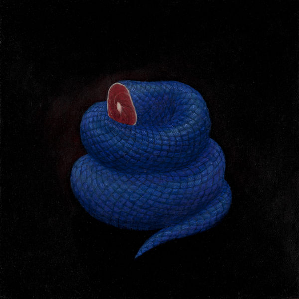 Out of The Blue Curated by Ioana Ciocan