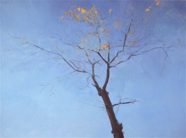 Maeve McCarthy At Bonneville Point Oil on canvas 90 x 120 cm