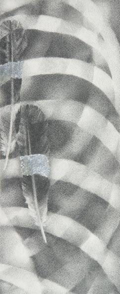 Sheila Pomeroy Two shadows Pencil 61 x 35 cm