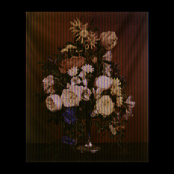 Margaretha Haverman, 1722, when Jacob Roggeveen landed on what is now Easter Island, soon after calling the Malvinas Belgia Australis, 2019