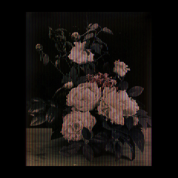 Gerardina Jacoba van de Sande Bakhuyzen, 1880, when at the Melbourne International Exhibition she muttered colonial gratitude for inclusion, 2019