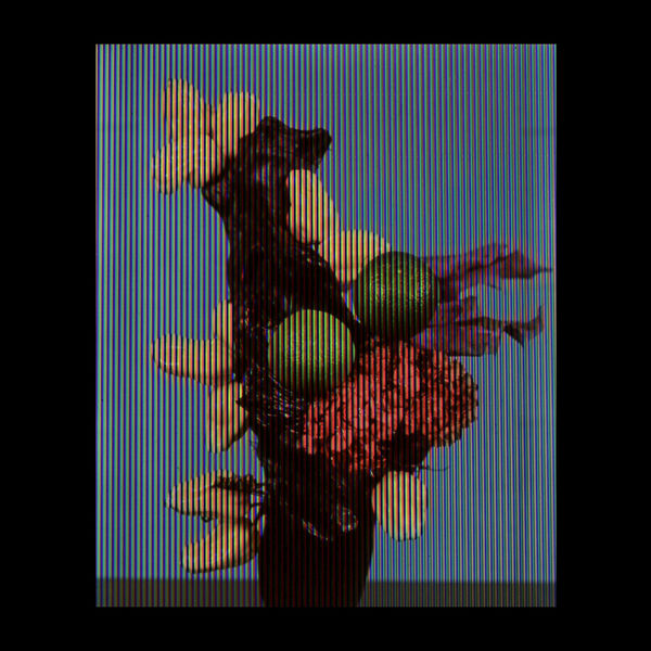 Lime Teshigahara with peppers 1950s, when again things got ugly at the time of the Schuman Declaration, (blue), 2019