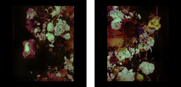 Jean-Baptiste Belin de Fontenay 1705, when Mirabell and Millamant were in double abundance, 2019 (diptych)