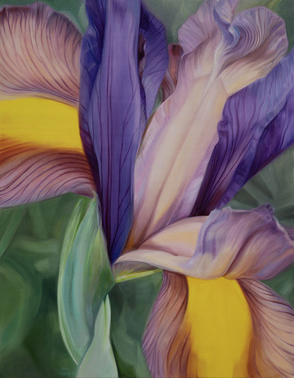 Vera Klute Petals & Pulp