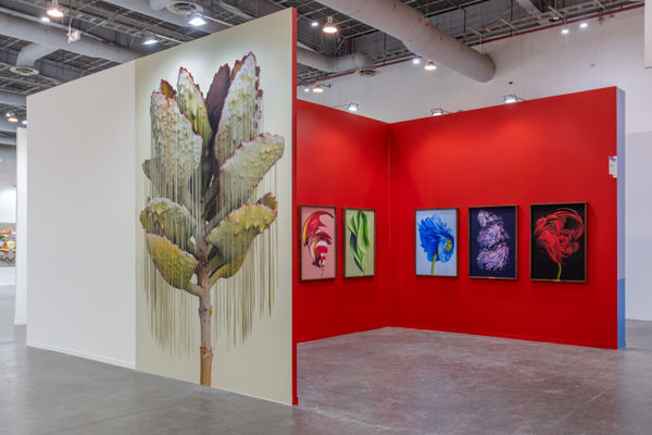 Art Fair Booth Install Zona Maco Mexico city