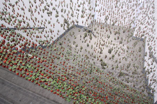 On On Claire Morgan3