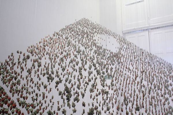 On On Claire Morgan4