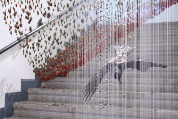 On On Claire Morgan5