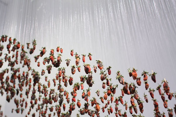 On On Claire Morgan8