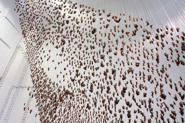 On On Claire Morgan9