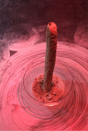 On On Michel Blazy11