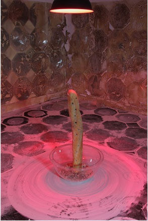 On On Michel Blazy14