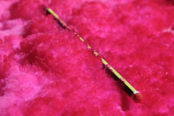 On On Steiner And Lenzlinger14