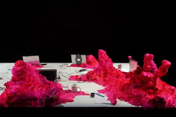 On On Steiner And Lenzlinger2