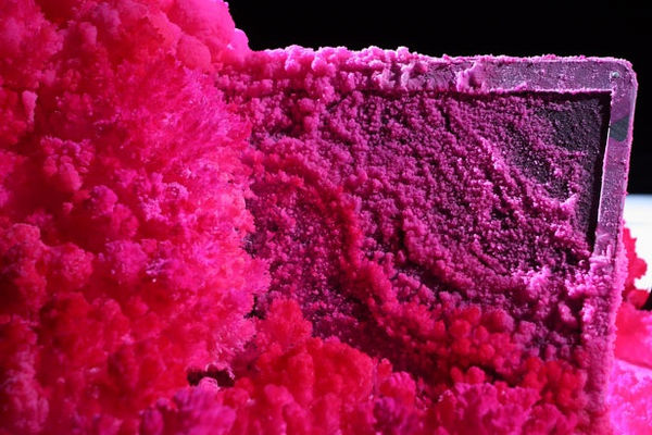 On On Steiner And Lenzlinger20