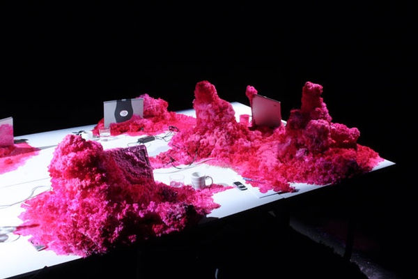 On On Steiner And Lenzlinger7