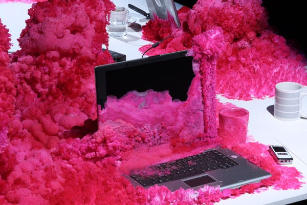 On On Steiner And Lenzlinger9