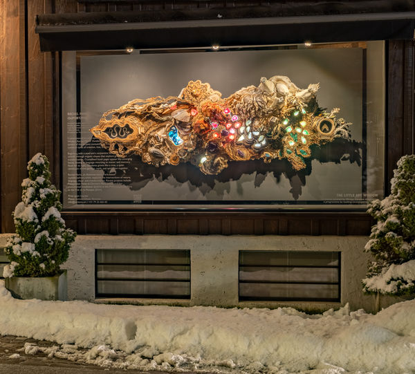 Fg 001A Ouroboros2025Vonrachelmarks Web