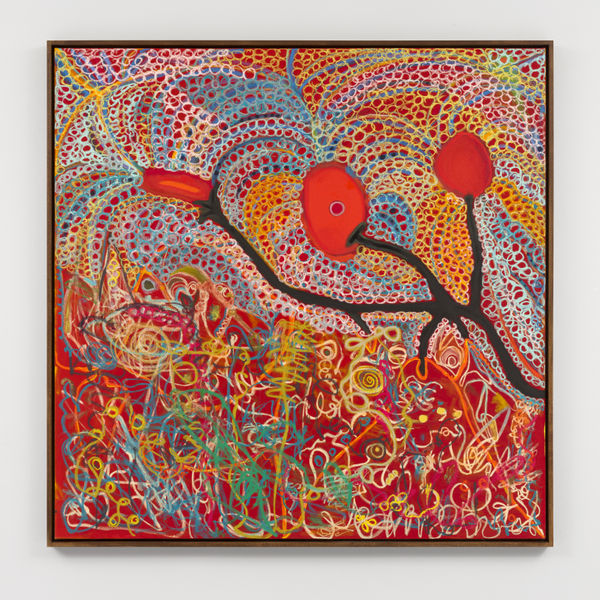 Sumac Tree in Roseboom, 2022-2023