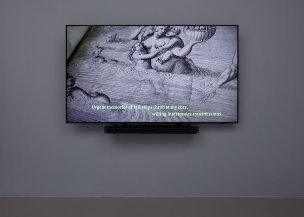 Installation view of Alberta Whittle: Towards a m̶o̶t̶h̶e̶r̶f̶u̶l̶ loving praxis, we cast seeds into the darkness at Nicola Vassell Gallery. Photo: Lance Brewer