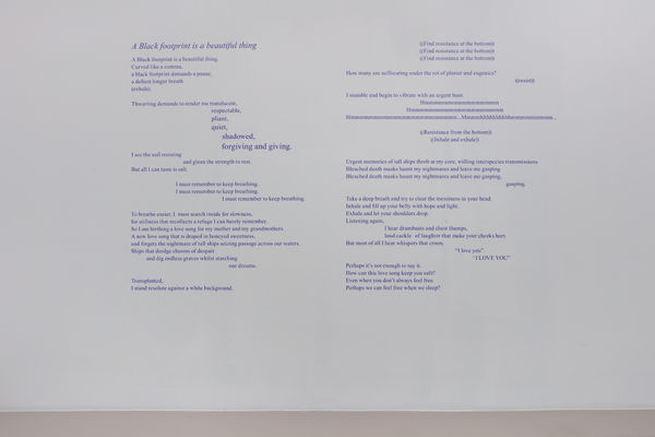 Installation view of Alberta Whittle: Towards a m̶o̶t̶h̶e̶r̶f̶u̶l̶ loving praxis, we cast seeds into the darkness at Nicola Vassell Gallery. Photo: Lance Brewer