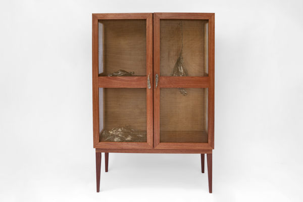 Mai Kuru Foodsafe 2022 Tylor Selleck