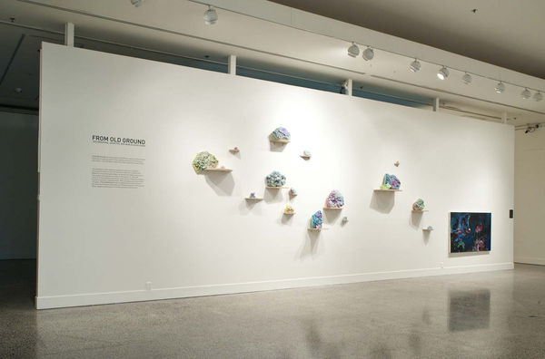 Brag Fog Zhang Install Clare Lewis 1340 C