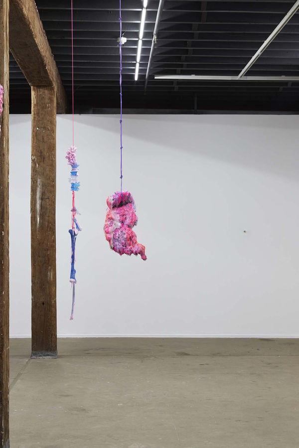 2017Nswvaef 0113 1340 C